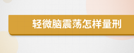 轻微脑震荡怎样量刑