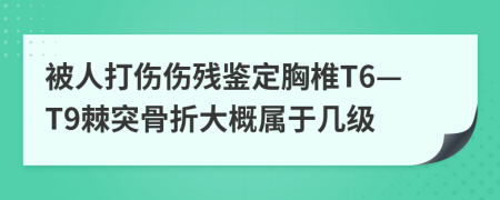 被人打伤伤残鉴定胸椎T6—T9棘突骨折大概属于几级