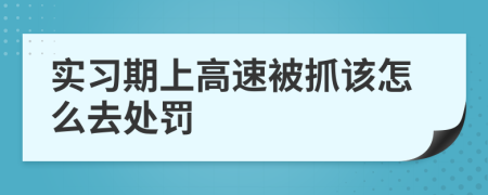 实习期上高速被抓该怎么去处罚