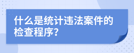 什么是统计违法案件的检查程序？