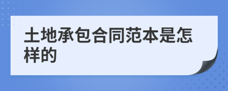 土地承包合同范本是怎样的