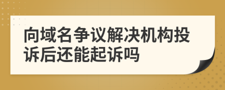 向域名争议解决机构投诉后还能起诉吗