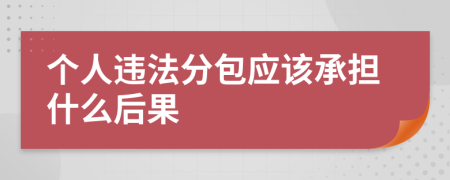 个人违法分包应该承担什么后果