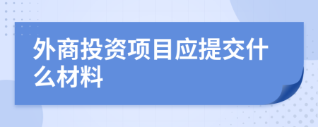 外商投资项目应提交什么材料