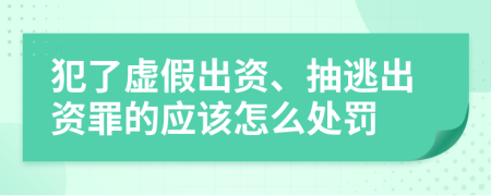 犯了虚假出资、抽逃出资罪的应该怎么处罚