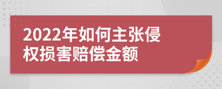 2022年如何主张侵权损害赔偿金额