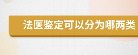 法医鉴定可以分为哪两类