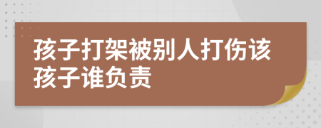 孩子打架被别人打伤该孩子谁负责