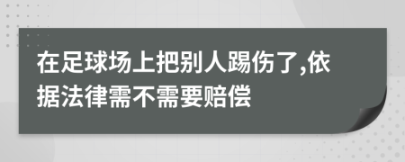 在足球场上把别人踢伤了,依据法律需不需要赔偿