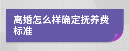 离婚怎么样确定抚养费标准