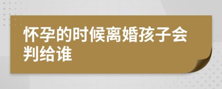 怀孕的时候离婚孩子会判给谁