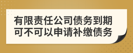 有限责任公司债务到期可不可以申请补缴债务