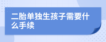 二胎单独生孩子需要什么手续