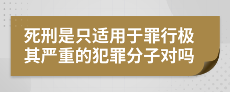 死刑是只适用于罪行极其严重的犯罪分子对吗