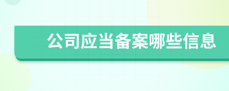 公司应当备案哪些信息