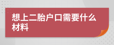 想上二胎户口需要什么材料