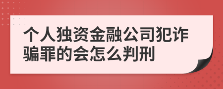 个人独资金融公司犯诈骗罪的会怎么判刑