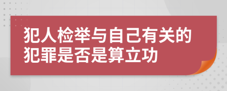 犯人检举与自己有关的犯罪是否是算立功
