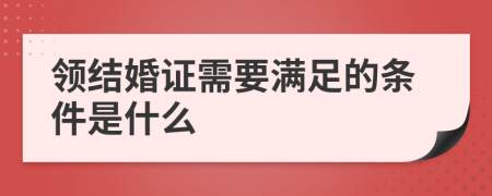 领结婚证需要满足的条件是什么