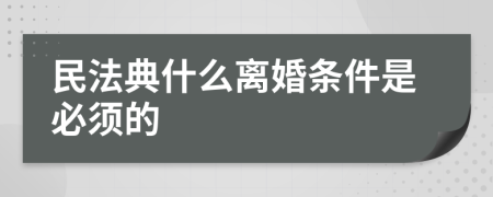 民法典什么离婚条件是必须的