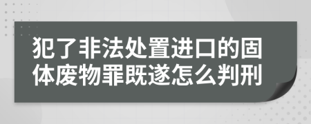 犯了非法处置进口的固体废物罪既遂怎么判刑