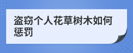 盗窃个人花草树木如何惩罚