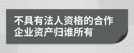 不具有法人资格的合作企业资产归谁所有