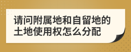 请问附属地和自留地的土地使用权怎么分配