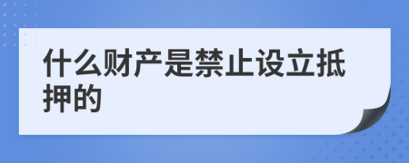 什么财产是禁止设立抵押的