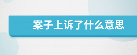 案子上诉了什么意思