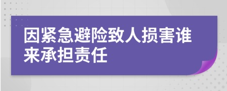 因紧急避险致人损害谁来承担责任