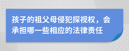 孩子的祖父母侵犯探视权，会承担哪一些相应的法律责任