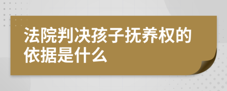 法院判决孩子抚养权的依据是什么