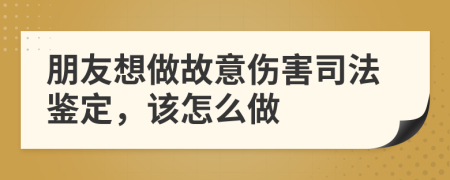 朋友想做故意伤害司法鉴定，该怎么做