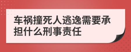 车祸撞死人逃逸需要承担什么刑事责任