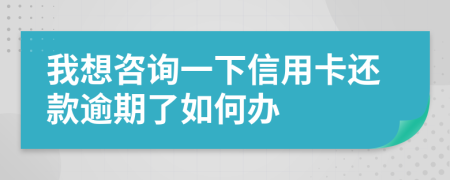 我想咨询一下信用卡还款逾期了如何办