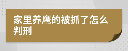 家里养鹰的被抓了怎么判刑