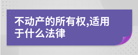 不动产的所有权,适用于什么法律