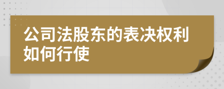 公司法股东的表决权利如何行使