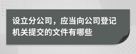 设立分公司，应当向公司登记机关提交的文件有哪些