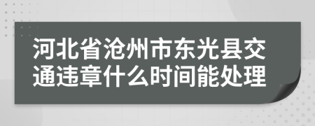 河北省沧州市东光县交通违章什么时间能处理