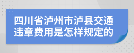 四川省泸州市泸县交通违章费用是怎样规定的