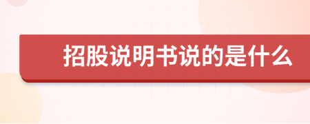 招股说明书说的是什么