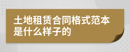 土地租赁合同格式范本是什么样子的