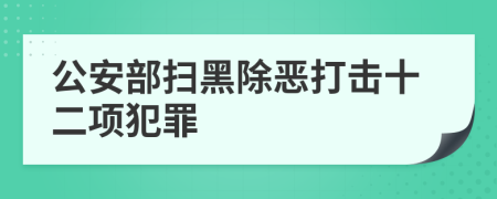 公安部扫黑除恶打击十二项犯罪