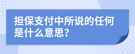 担保支付中所说的任何是什么意思？