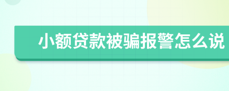 小额贷款被骗报警怎么说
