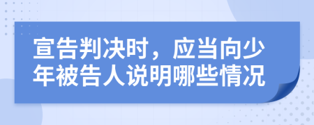 宣告判决时，应当向少年被告人说明哪些情况