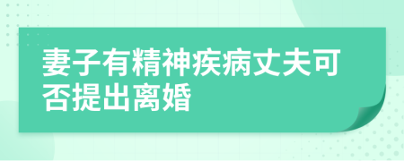 妻子有精神疾病丈夫可否提出离婚