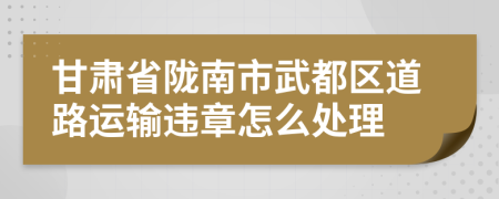 甘肃省陇南市武都区道路运输违章怎么处理